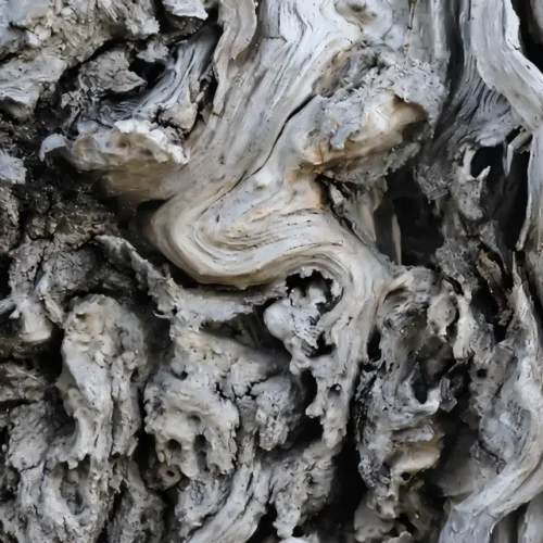 Prírodný abstraktný obraz z dreva – Mindful fotografovanie s vnukom, banner